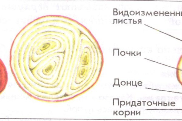 Ссылка на кракен официальный