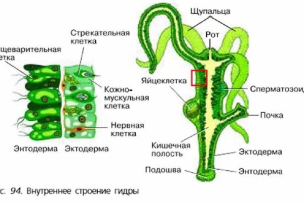 Kraken market ссылка тор