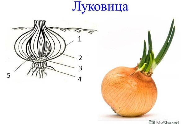 Кракен зеркало рабочее на сегодня