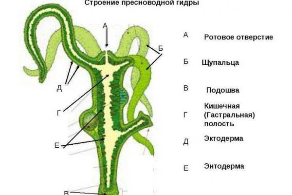 Как попасть на кракен