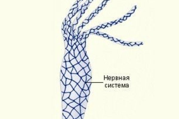 Кракен даркнет слушать